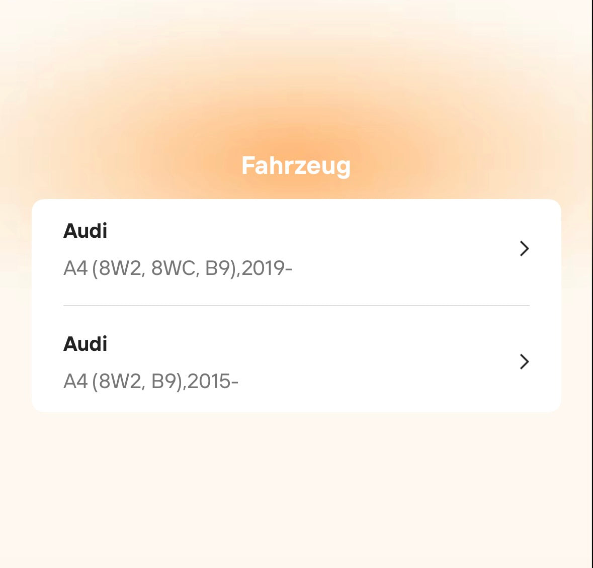 Fallrohr / Downpipe für Audi A4 B9 2.0T (ab 2017)