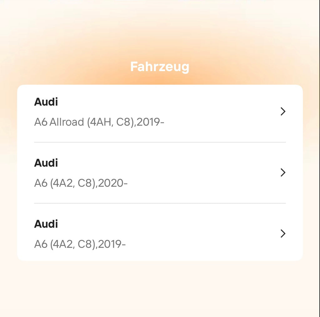Catback Auspuffanlage für Audi A6 C8 (2019–2021)