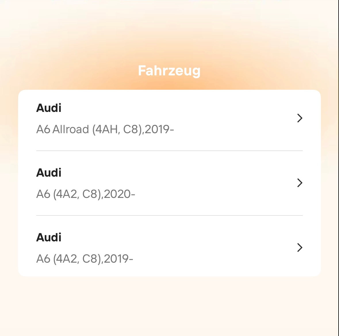 Catback Auspuffanlage für Audi A6 C8 (2019–2021)