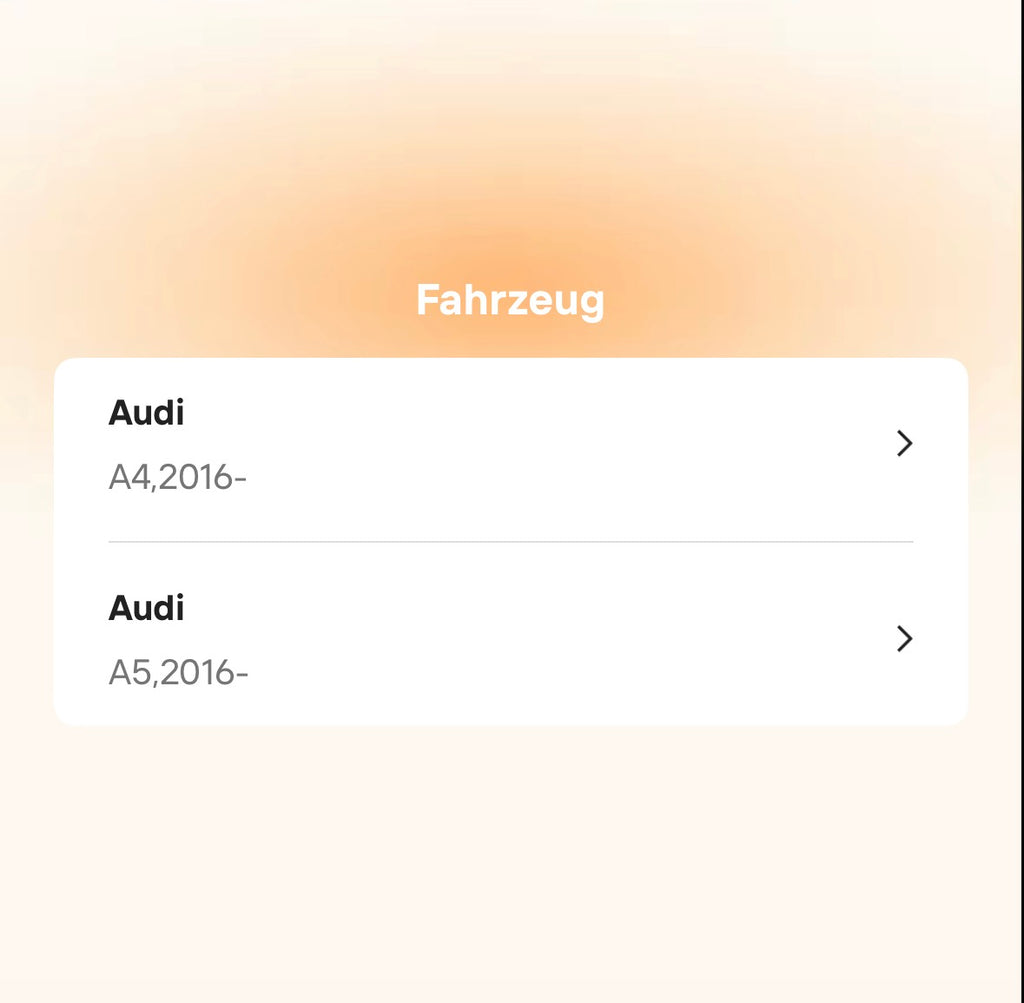 Catback Auspuffanlage für Audi A4 / A5 B8 & B9 2.0T (2016–2022)