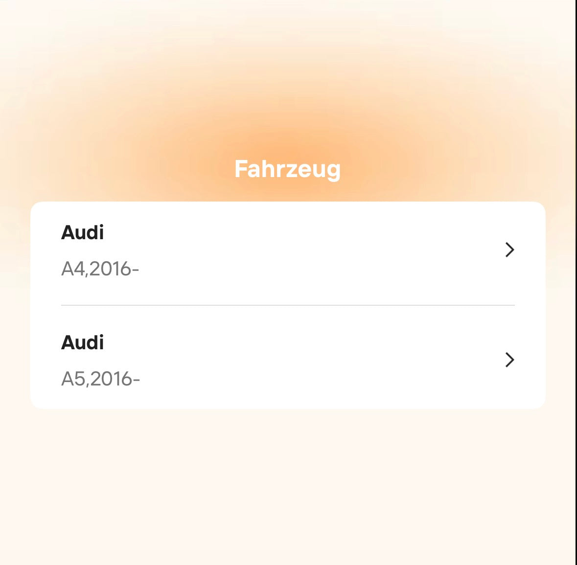 Catback Auspuffanlage für Audi A4 / A5 B8 & B9 2.0T (2016–2022)