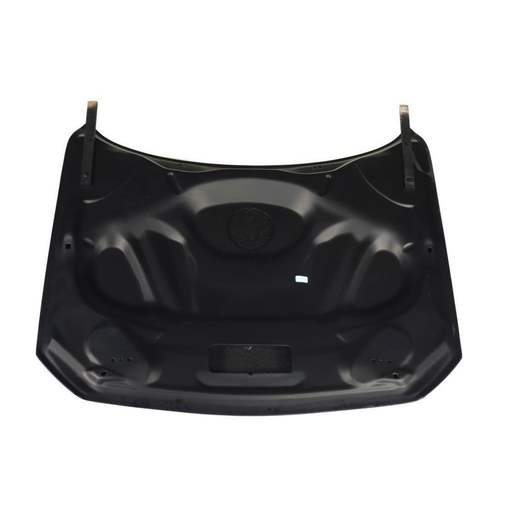 BMW M2 CS Motorhaube Wet Carbon F87 2016-2020