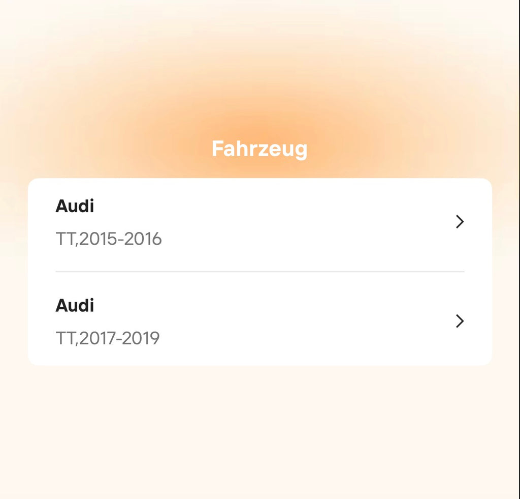 Catback Auspuffanlage für Audi TT MK3 / 8S 2.0T (2015–2023) – Titan