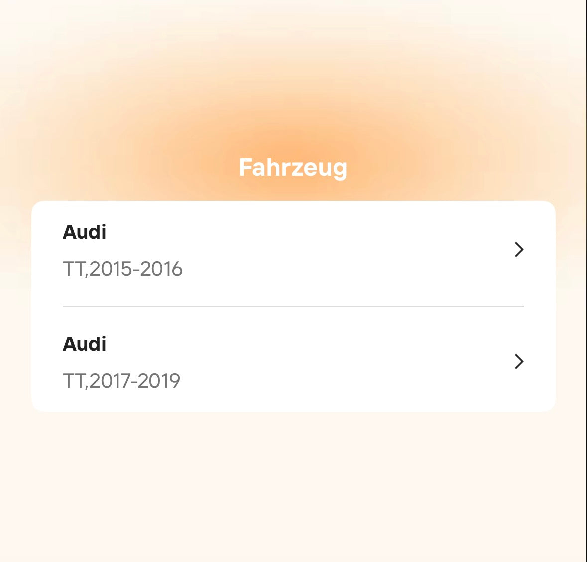 Catback Auspuffanlage für Audi TT MK3 / 8S 2.0T (2015–2023) – Titan