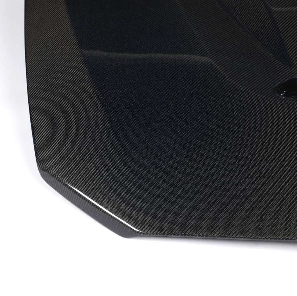 BMW M2 CS Motorhaube Wet Carbon F87 2016-2020