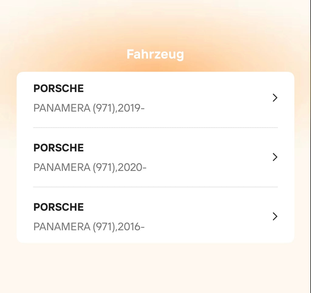 Catback Auspuffanlage für Porsche Panamera 970 / 971 (2009–2022) – Titan