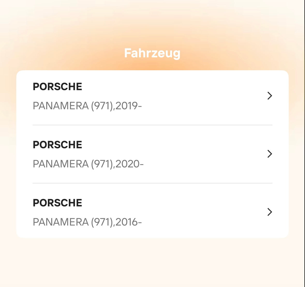 Catback Auspuffanlage für Porsche Panamera 970 / 971 (2009–2022) – Titan