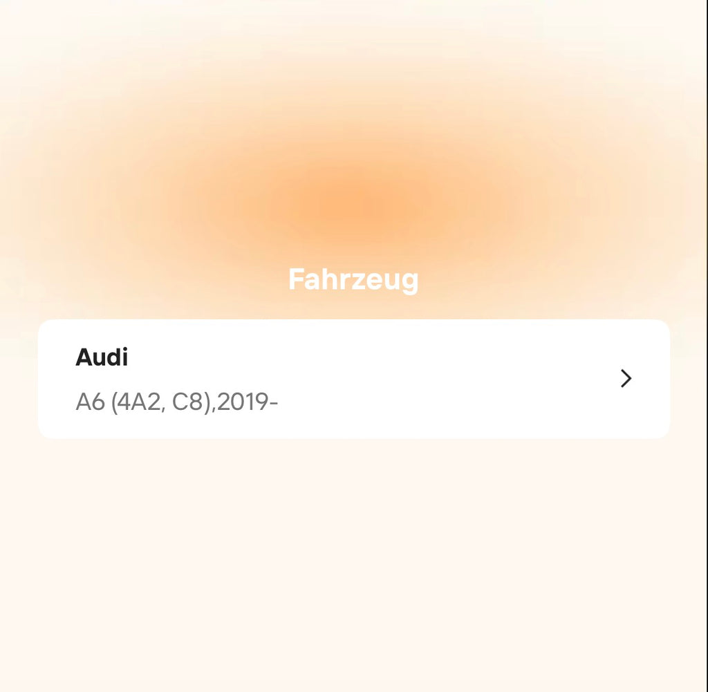 Catback Auspuffanlage für Audi A6 / A7 C8 3.0T (2019–2022)