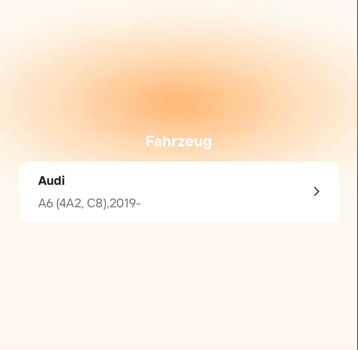 Catback Auspuffanlage für Audi A6 / A7 C8 3.0T (2019–2022)