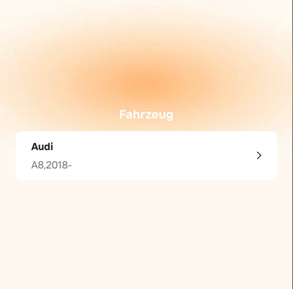 Catback Auspuffanlage für Audi A8 C8 3.0T (2018–2022) – Titan