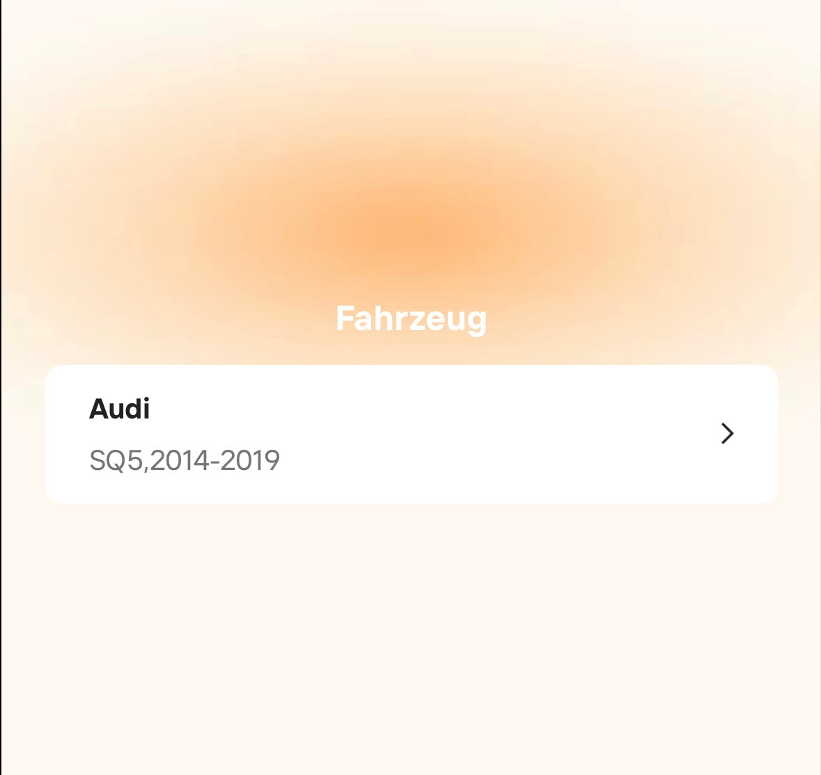 Catback Auspuffanlage für Audi SQ5 B9 3.0T (2019–2023) – Titan mit Klappensteuerung