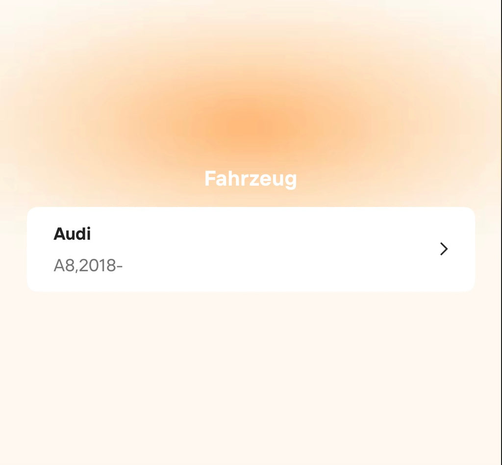Catback Auspuffanlage für Audi A8 C8 3.0T (2018–2022)