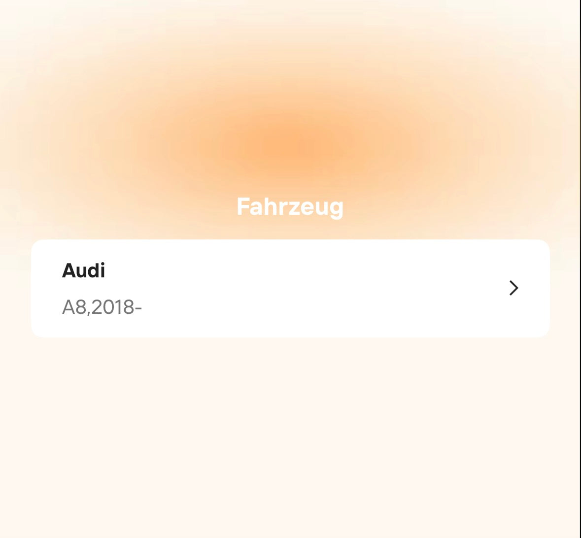 Catback Auspuffanlage für Audi A8 C8 3.0T (2018–2022)