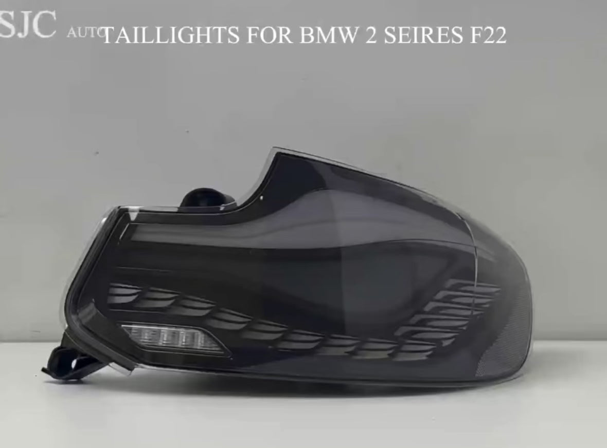 GTS Style LED Rückleuchten für BMW F22 F87 M2 2014–2021 – Drachenschuppen Design